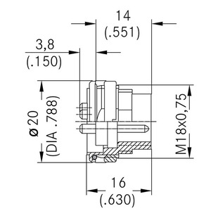 C091 31T107 100 2 Image
